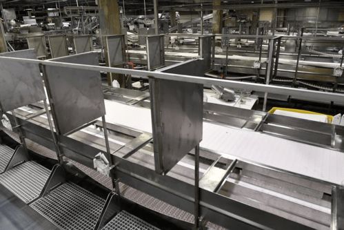 进口冷链食品的阳性检测与全球疫情背景分析