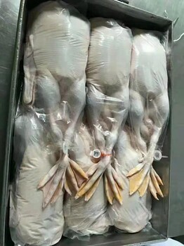 家禽脚环 屠宰企业的宣传利器及其根本意义