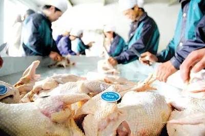 江苏召开H7N9联防联控会议，聚焦风险评估与家禽屠宰管理