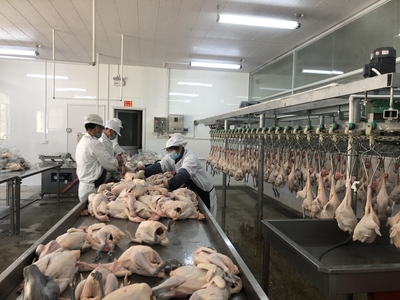 贵港市农业农村局积极推动家禽产品冷鲜上市，以屠宰升级稳定市场肉食供应