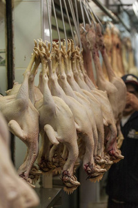 分目工业摄影新视界 家禽屠宰生产线的纪实与美学