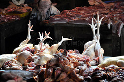 家禽屠宰 现代化流程与食品安全保障