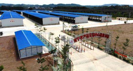 再见，五里亭批发市场 南宁人的家禽记忆与烟火气