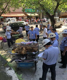 家禽冷鲜防线再筑牢——恩平市食安办多部门联合执法巩固产供全链成果